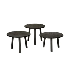 RENEW Bijzettafels Set|Ronde Bijzettafel|Bijzettafel Lazio Teakhout, Set van 3 stuks
