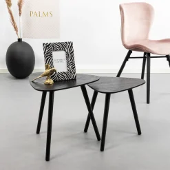 WOOOD Zwarte Bijzettafel|Bijzettafels Set|Bijzettafel Nila Set van 2 stuks, kleur Zwart