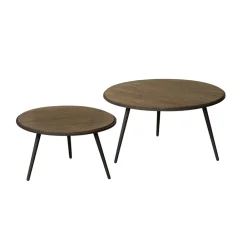 RENEW Bijzettafels Set|Ronde Bijzettafel|Bijzettafel Rolo Teakhout, Set van 2 stuks Weather Grey