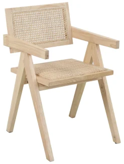 Artistiq Living Eetkamerstoelen Met Armleuning|Eetkamerstoel Daja Hout en rotan