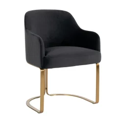 Richmond Interiors Eetkamerstoelen Velvet / Fluweel|Eetkamerstoelen Met Armleuning|Eetkamerstoel Hadley Velvet, kleur Antraciet