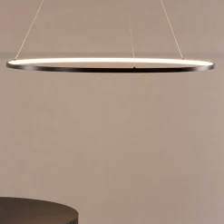 Nohr Hanglampen|Hanglamp Isaias Ring LED 100cm, kleur Zwart