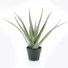 By-Boo Kunstplanten|Kunstplant Aloë Vera 58cm hoog