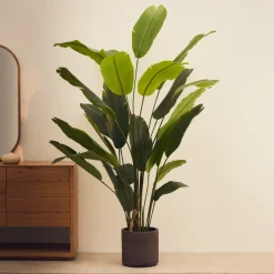 Kave Home Kunstplanten|Kunstplant Banano, Bananenplant (Musa), 210cm hoog, excl. sierpot Groen