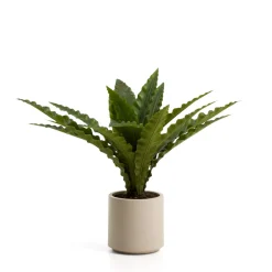 Kave Home Kunstplanten|Kunstplant Neottopteris 70cm Groen