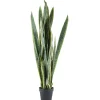 By-Boo Kunstplanten|Kunstplant Sansevieria