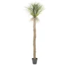 By-Boo Kunstplanten|Kunstplant Wild Yucca Tree