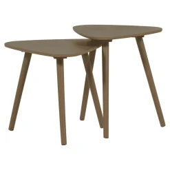 WOOOD Bijzettafels Set|Organische Bijzettafel Nila Set van 2 stuks