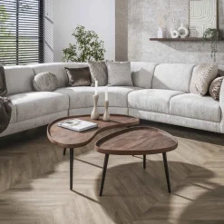 LifestyleFurn Salontafel Set|Organische Salontafel|Organische Salontafel Alania Acaciahout, Set van 2 stuks Massief acacia bruin