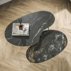 LifestyleFurn Salontafel Set|Organische Salontafel|Organische Salontafel Antar Niervormig, Keramiek, Set van 2 stuks Ceramic fossil black