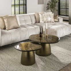 LifestyleFurn Salontafel Set|Glazen Salontafel|Organische Salontafel Cassidi Glas, Set van 2 stuks