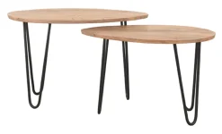 LABEL51 Salontafel Set|Organische Salontafel|Organische Salontafel Frisk Mangohout, Set van 2 stuks