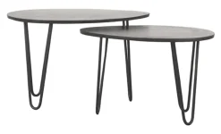 LABEL51 Salontafel Set|Organische Salontafel|Organische Salontafel Frisk Mangohout, Set van 2 stuks