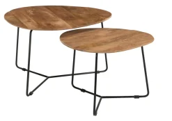 Brix Salontafel Set|Organische Salontafel|Organische Salontafel Ivy Set van 2 stuks