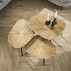 LifestyleFurn Salontafel Set|Organische Salontafel|Organische Salontafel Katrell Ray Metal, Set van 3 stuks Brons ray metal