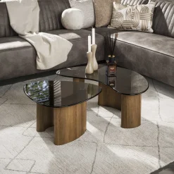 LifestyleFurn Salontafel Set|Glazen Salontafel|Organische Salontafel Kely, set van 2 stuks, Brons glas