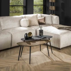 LifestyleFurn Salontafel Set|Organische Salontafel|Organische Salontafel Marylouise Metaal, Set van 2 stuks, kleur goud/zwart ZWART - GOUD