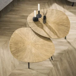LifestyleFurn Salontafel Set|Organische Salontafel|Organische Salontafel Miya Ray Metal, Set van 2 stuks Brons ray metal