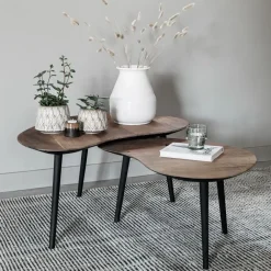 DTP Home Salontafel Set|Organische Salontafel|Organische Salontafel Organus Teakhout, Set van 2 stuks
