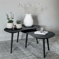 DTP Home Salontafel Set|Organische Salontafel|Organische Salontafel Organus Teakhout, Set van 2 stuks