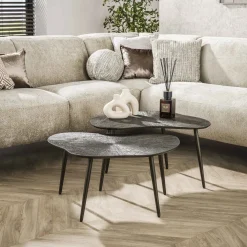 LifestyleFurn Salontafel Set|Organische Salontafel|Organische Salontafel Teara Leaf Ray Metal finish, Set van 2 stuks Brons donkerbruin