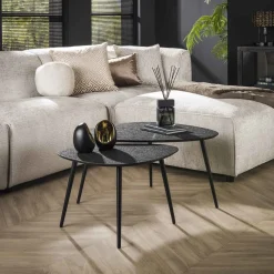 LifestyleFurn Salontafel Set|Organische Salontafel|Organische Salontafel Thedore Set van 2 stuks, kleur Zwart