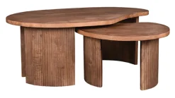 LABEL51 Salontafel Set|Organische Salontafel|Organische Salontafel Timon Mangohout, Set van 2 stuks