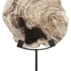 MUST Living Overige Decoratie|Ornament Fossil Versteend hout, 33cm hoog
