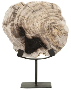 MUST Living Overige Decoratie|Ornament Fossil Versteend hout, 33cm hoog