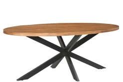 Livingfurn Ovale Eettafel|Ovale Eettafel Rocky Mangohout en staal