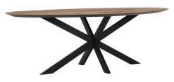 DTP Home Ovale Eettafel|Ovale Eettafel Shape Teakhout Naturel