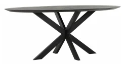 DTP Home Ovale Eettafel|Ovale Eettafel Shape Teakhout, kleur Zwart