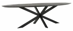 DTP Home Ovale Eettafel|Ovale Eettafel Shape Teakhout, kleur Zwart
