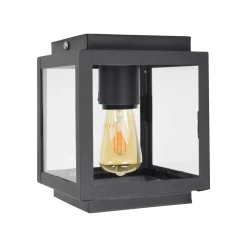 Urban Interiors Plafondlampen|Plafondlamp Loft, kleur Vintage Black