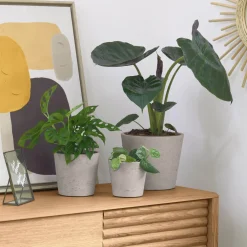 Kave Home Potten Voor Buiten|Potten & Manden|Plantenpot Low Set van 3 stuks Grijs