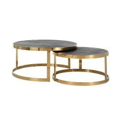 Richmond Interiors Salontafel Set|Ronde Salontafel|Salontafel Blackbone Eiken en staal, Set van 2 stuks, kleur Zwart / Goud