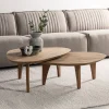 DTP Home Salontafel Set|Organische Salontafel|Salontafel Bliss Teakhout,100 x 70cm