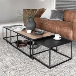 DTP Home Salontafel Set|Salontafel Cosmo Teakhout, Set van 3 stuks Naturel