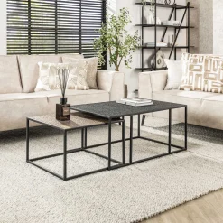 LifestyleFurn Salontafel Set|Salontafel Derrick Metaal, Set van 2 stuks Grijs