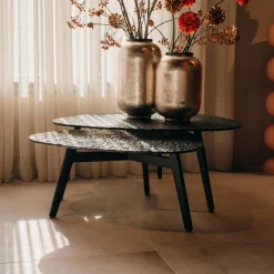 Richmond Interiors Salontafel Set|Glazen Salontafel|Salontafel Riley Glas, Set van 2 stuks