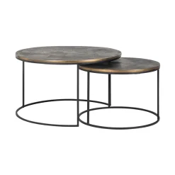 Richmond Interiors Salontafel Set|Ronde Salontafel|Salontafel Tulum Set van 2 stuks, kleur Brushed Gold
