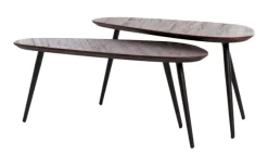 Light & Living Salontafel Set|Organische Salontafel|Salontafel Viejo Hout en metaal, Set van 2 stuks Donker hout