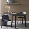 WOOOD Uitschuifbare Eettafel|Ronde Eettafel|Uitschuifbare Ronde Eettafel Lange Jan Eiken, 120-200 x 120cm, kleur blacknight