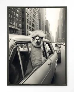 Urban Cotton Wandkleden|Wandkleed Alpaca In NY in maat en frame naar keuze