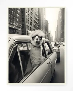 Urban Cotton Wandkleden|Wandkleed Alpaca In NY in maat en frame naar keuze