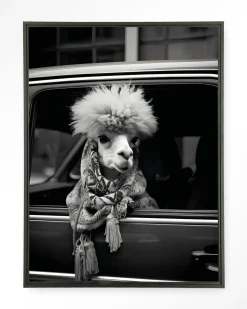 Urban Cotton Wandkleden|Wandkleed Alpaca In Taxi in maat en frame naar keuze