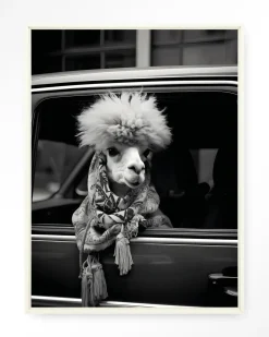 Urban Cotton Wandkleden|Wandkleed Alpaca In Taxi in maat en frame naar keuze