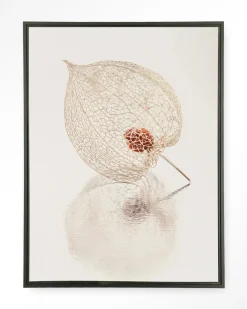 Urban Cotton Wandkleden|Wandkleed De Reflectie Van Vergankelijkheid In Lichte Tinten in maat en frame naar keuze