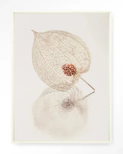 Urban Cotton Wandkleden|Wandkleed De Reflectie Van Vergankelijkheid In Lichte Tinten in maat en frame naar keuze