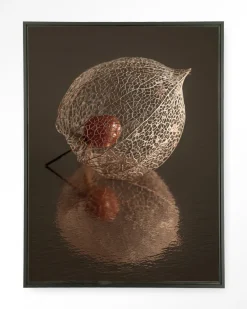 Urban Cotton Wandkleden|Wandkleed De Reflectie Van Vergankelijkheid In Bruintinten in maat en frame naar keuze